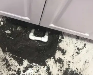 镶黄旗查漏水哪家好
